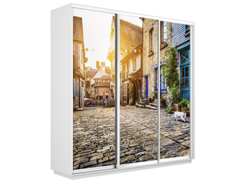 Шкаф-купе Экспресс 3-х дверный (Фото №1022 Улица)