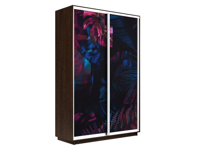 Шкаф-купе Экспресс 2-х дверный (Фото №1004 Джунгли темные), Венге